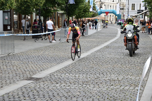 了争夺总冠 了争夺总冠