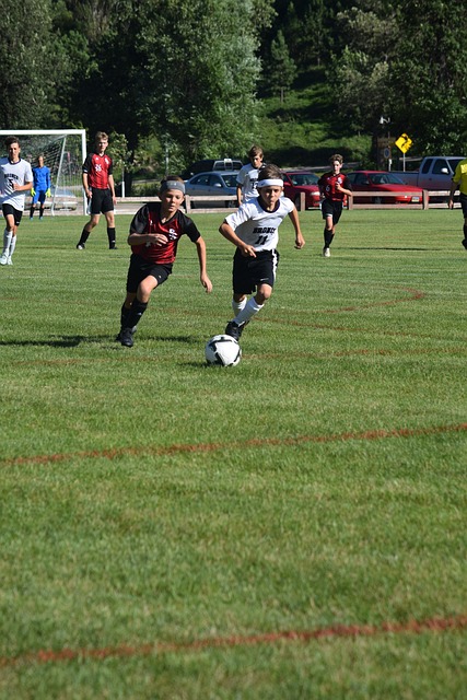 这一案件 这一案件