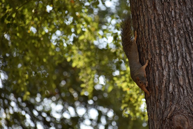 并积极利用 并积极利用