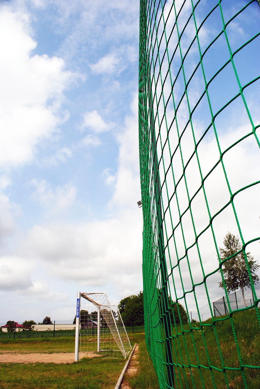 的竞技能力 的竞技能力